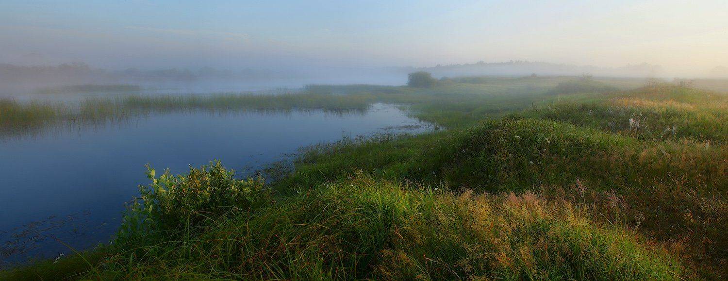 , Дмитрий Алексеев
