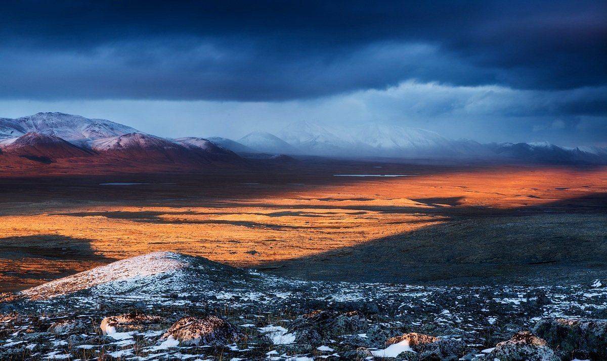 , Кирилл Уютнов