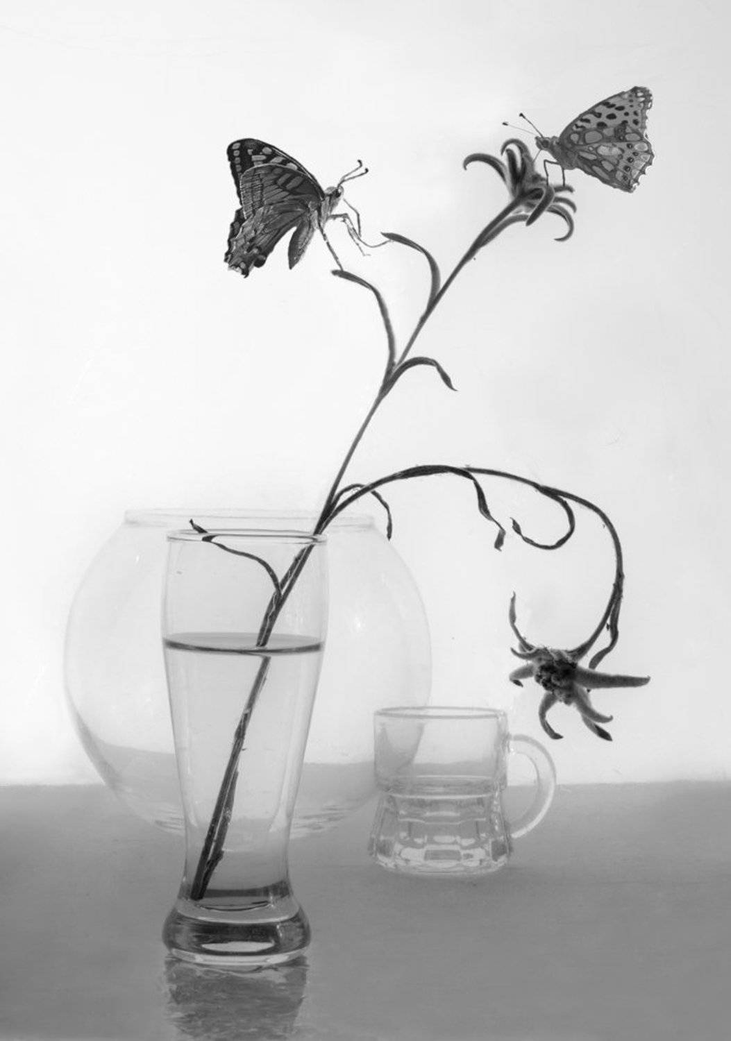 , Людмила Прокофьева