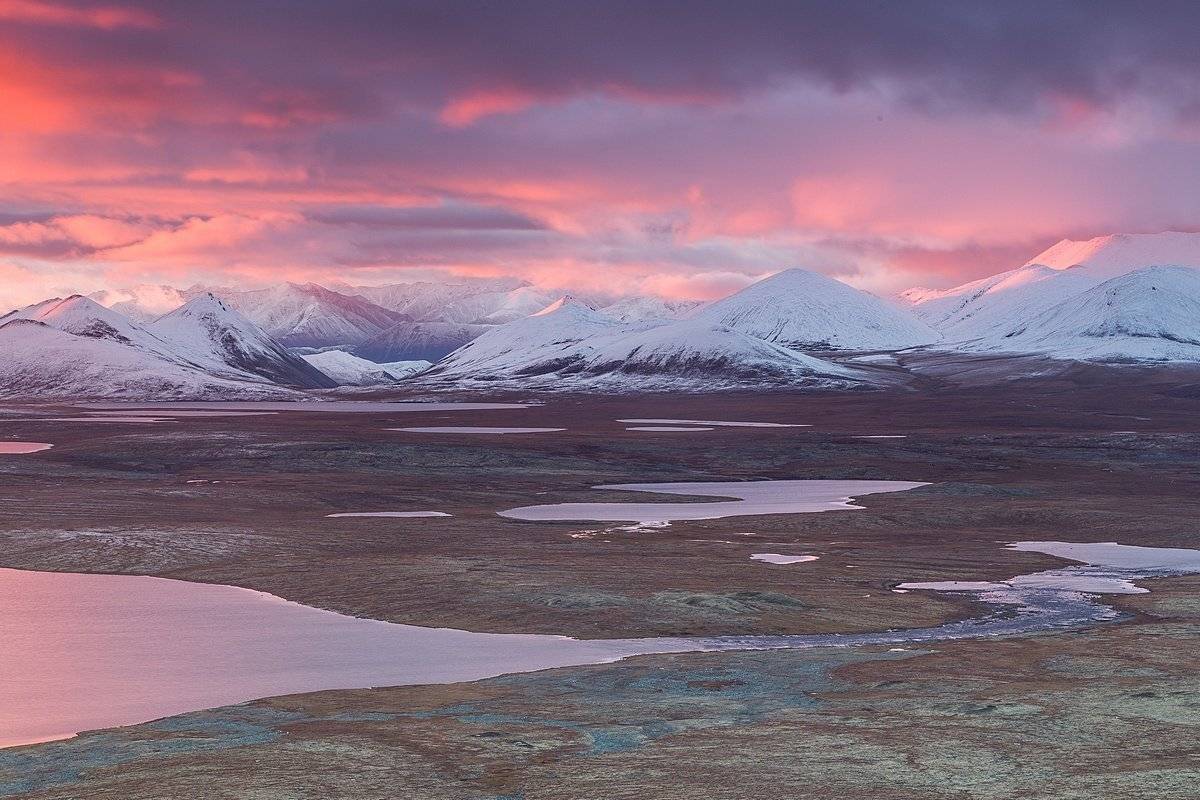 , Кирилл Уютнов