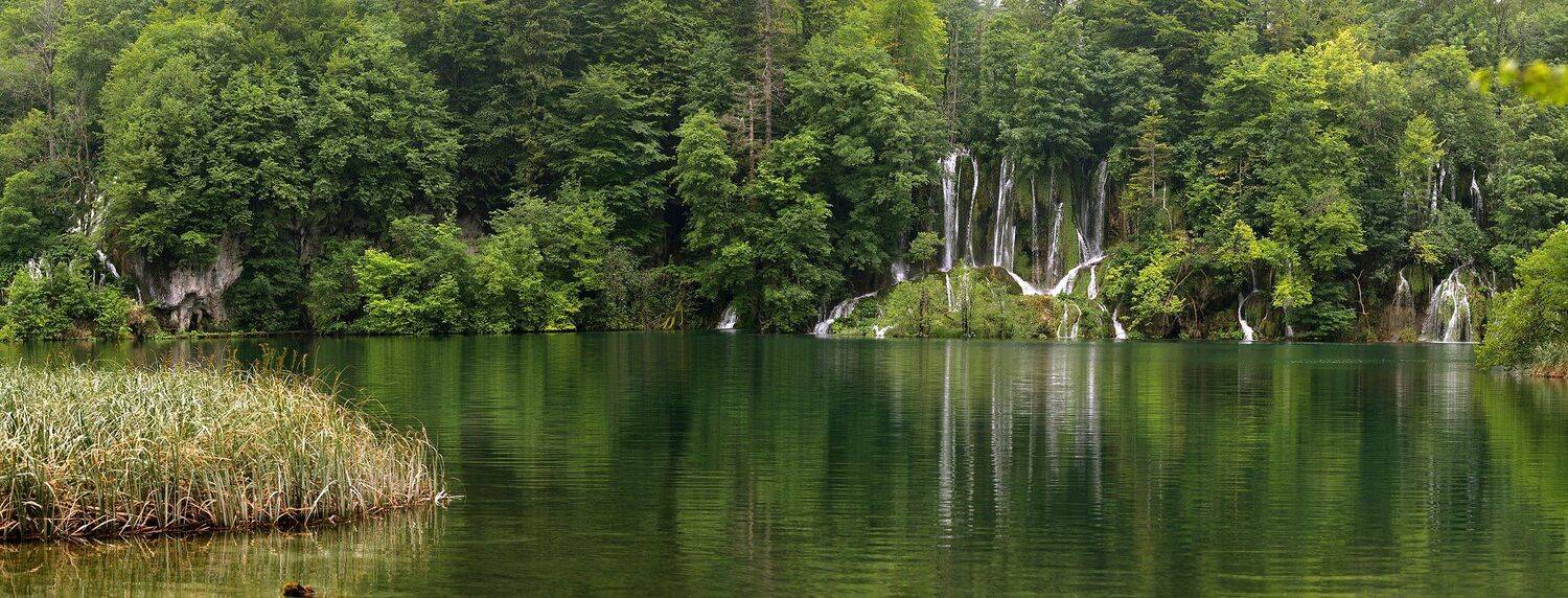 , Сергей Седов