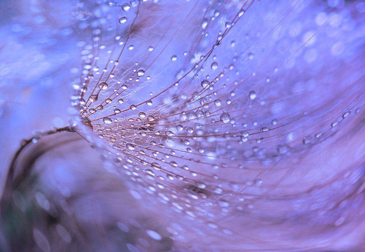 , Таня  Маркова