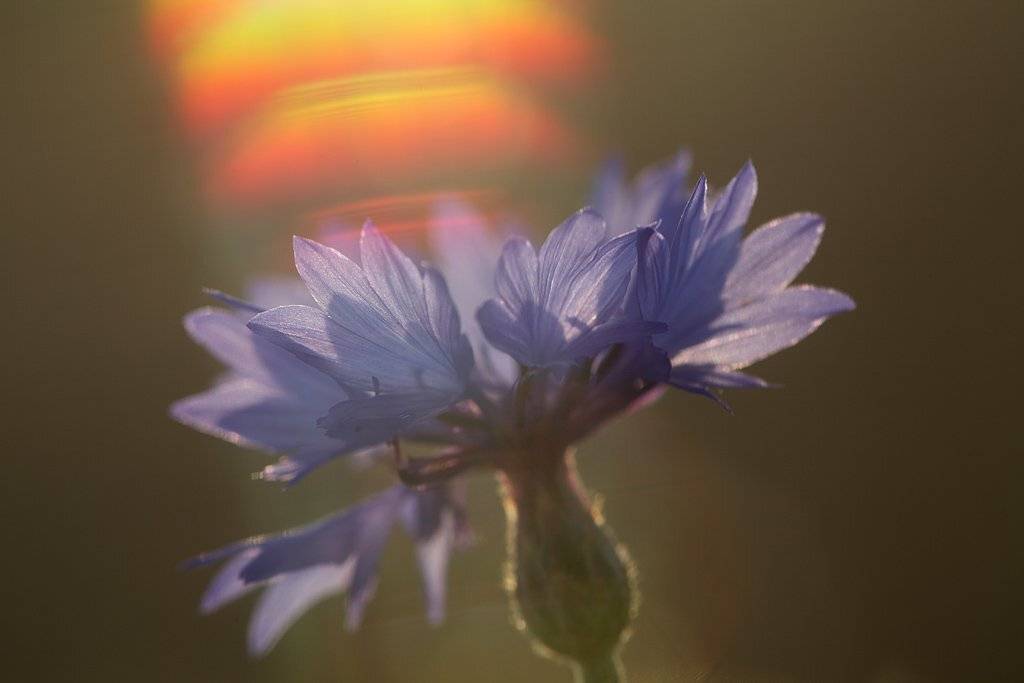 , Сергей Таланов