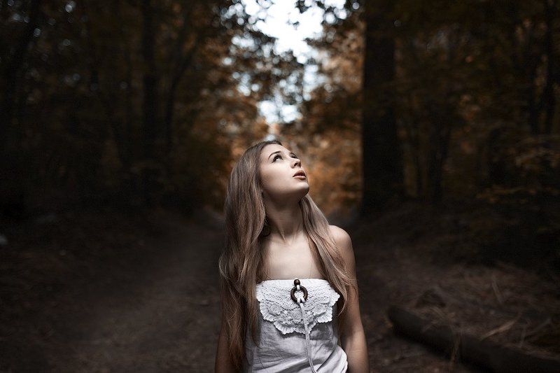 Няша и медведи фото превью