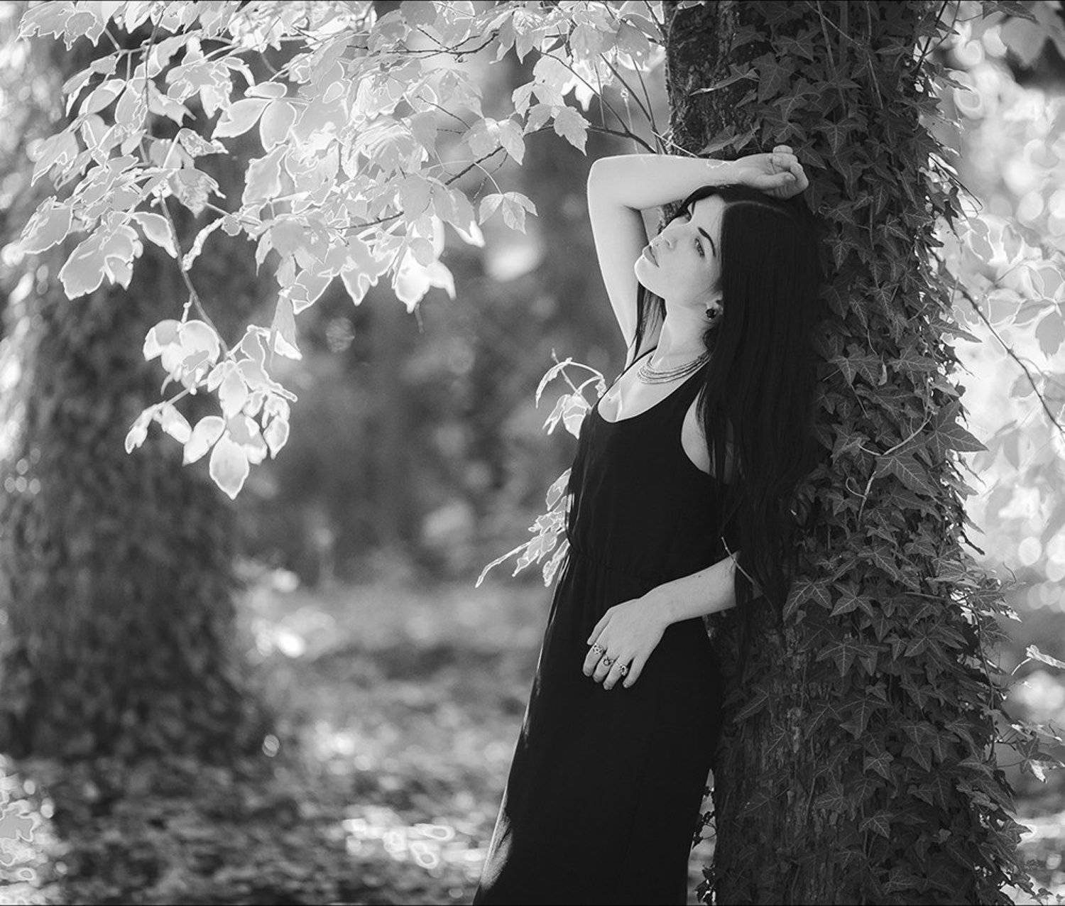 , Анатолий Черкас