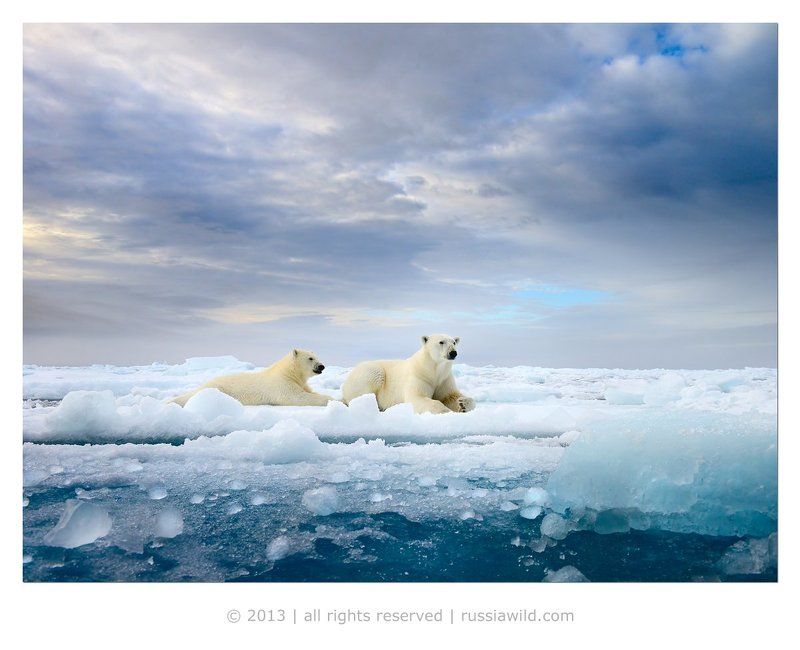 Отдых на льду фото превью