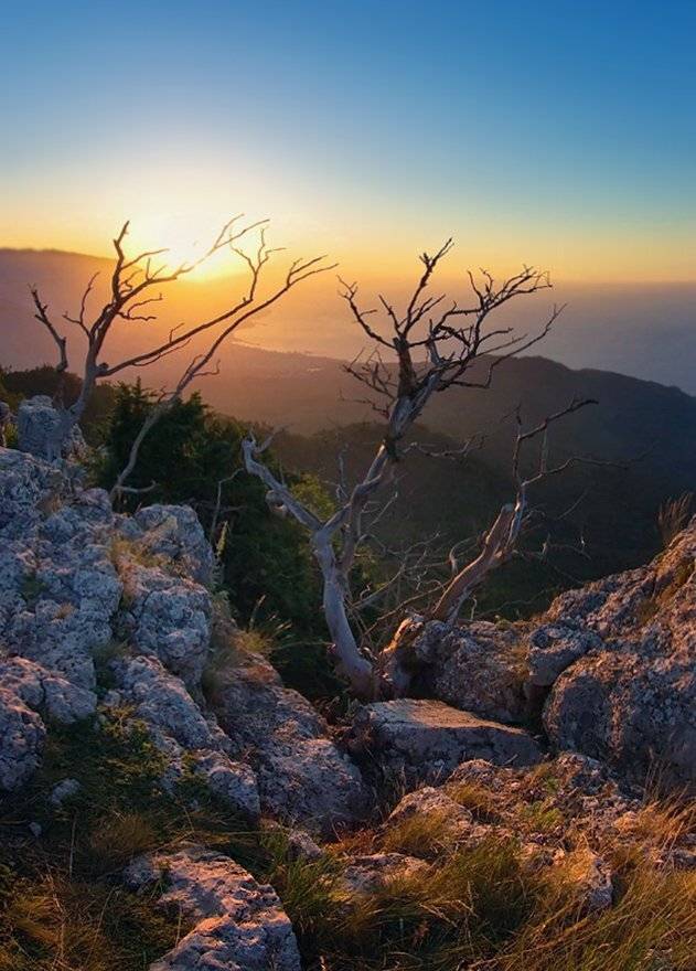 , Игорь Мелекесцев