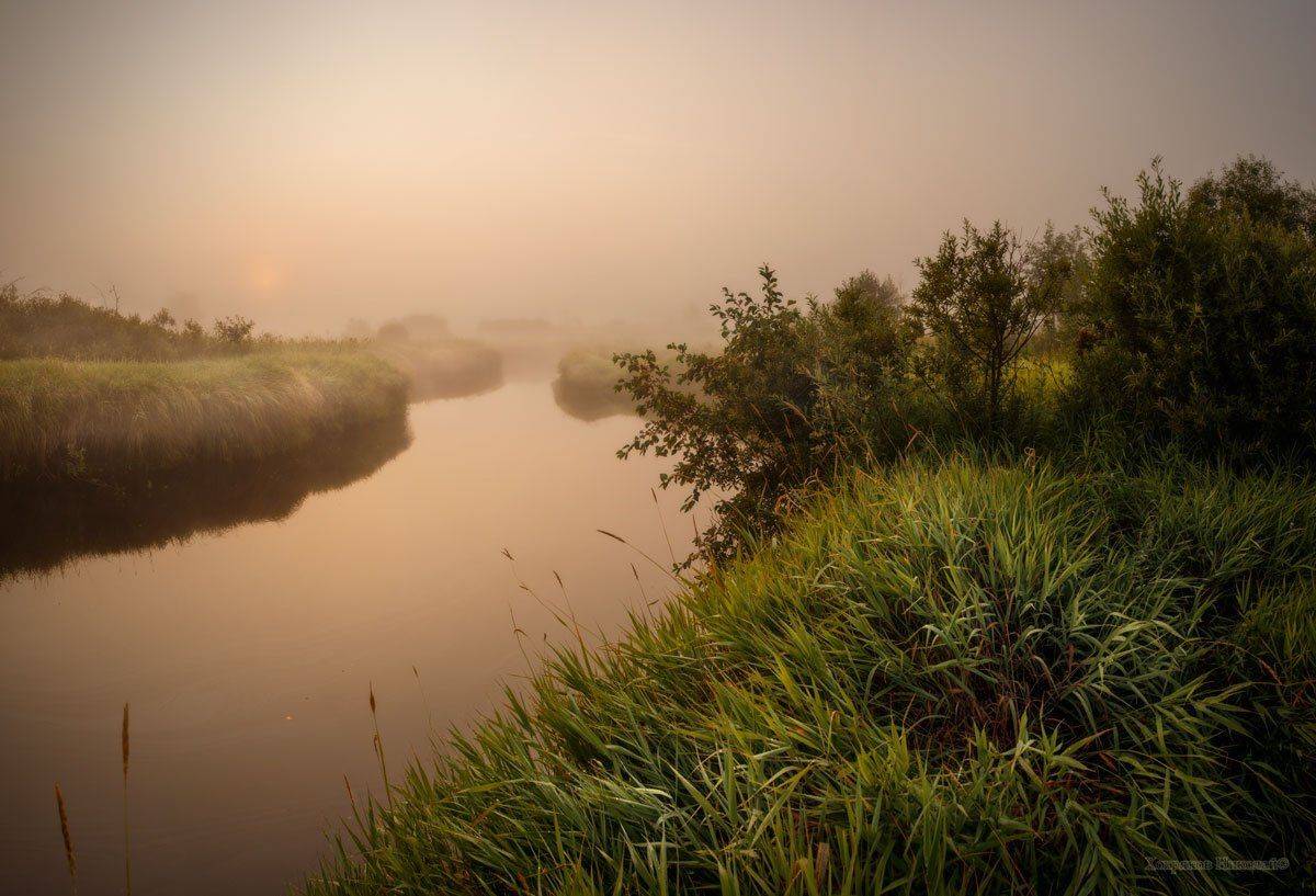 , Хохряков Николай