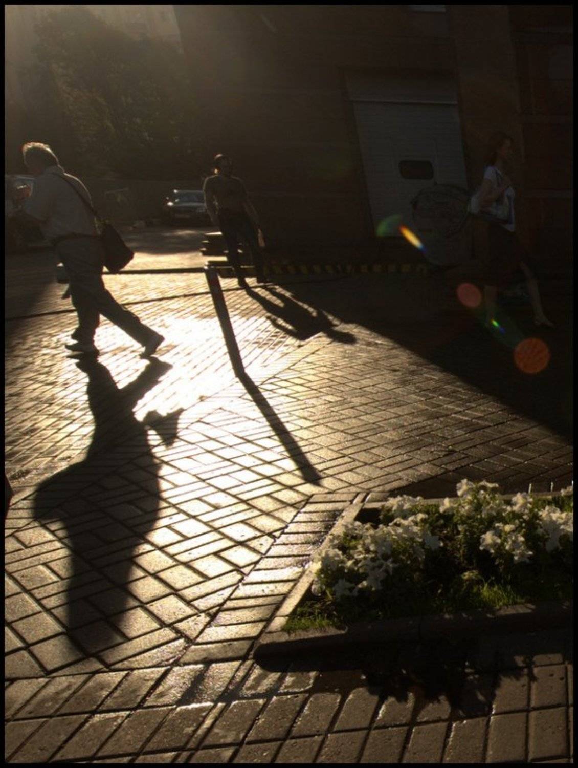 , михаил михаил