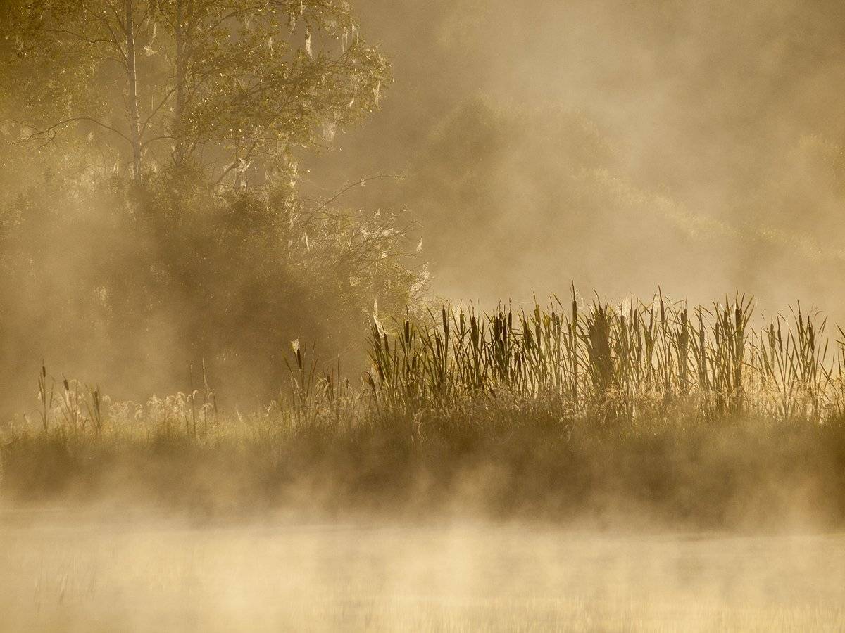 , Владимир Перепечаев