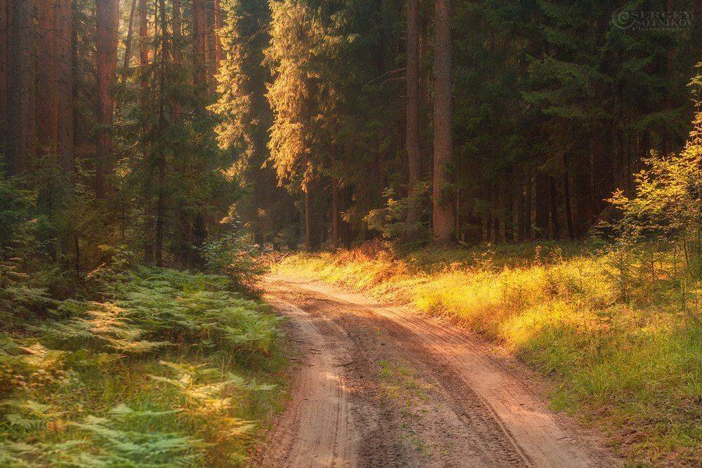 , Сергей Сотников