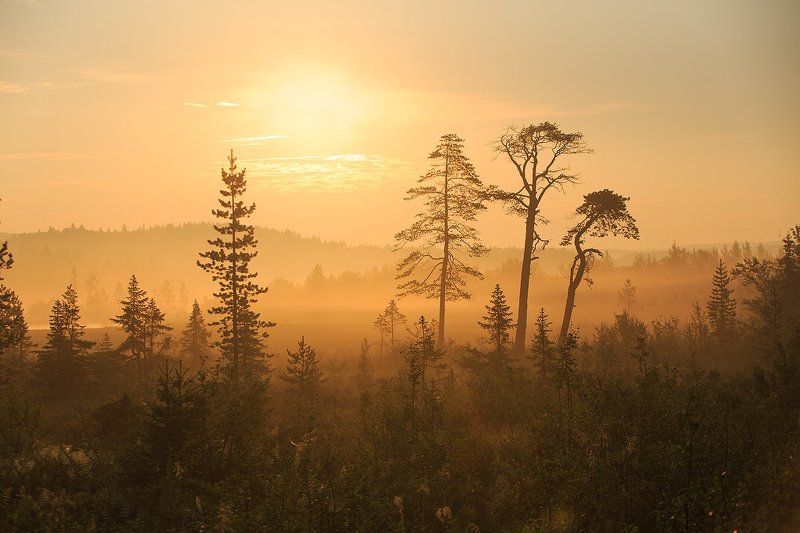 Утро фото превью