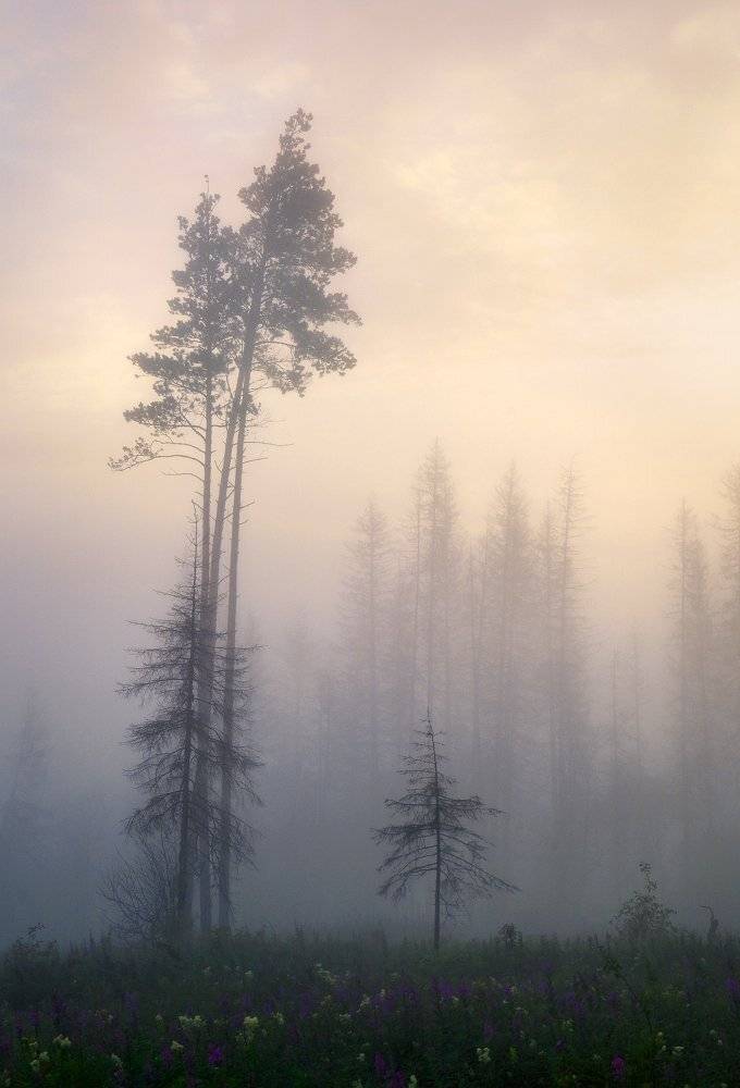 , Сергей Макурин