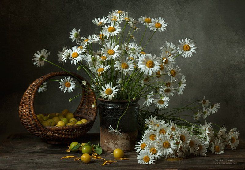 Yelow plums фото превью