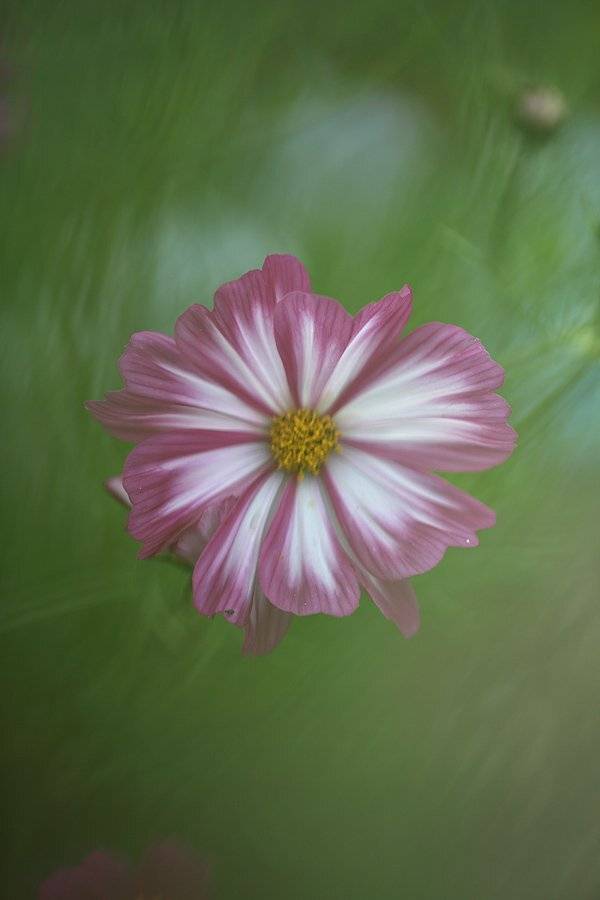 , Сергей Таланов