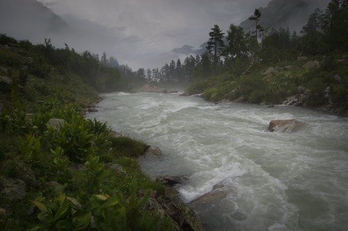 In the blue dawns of summer