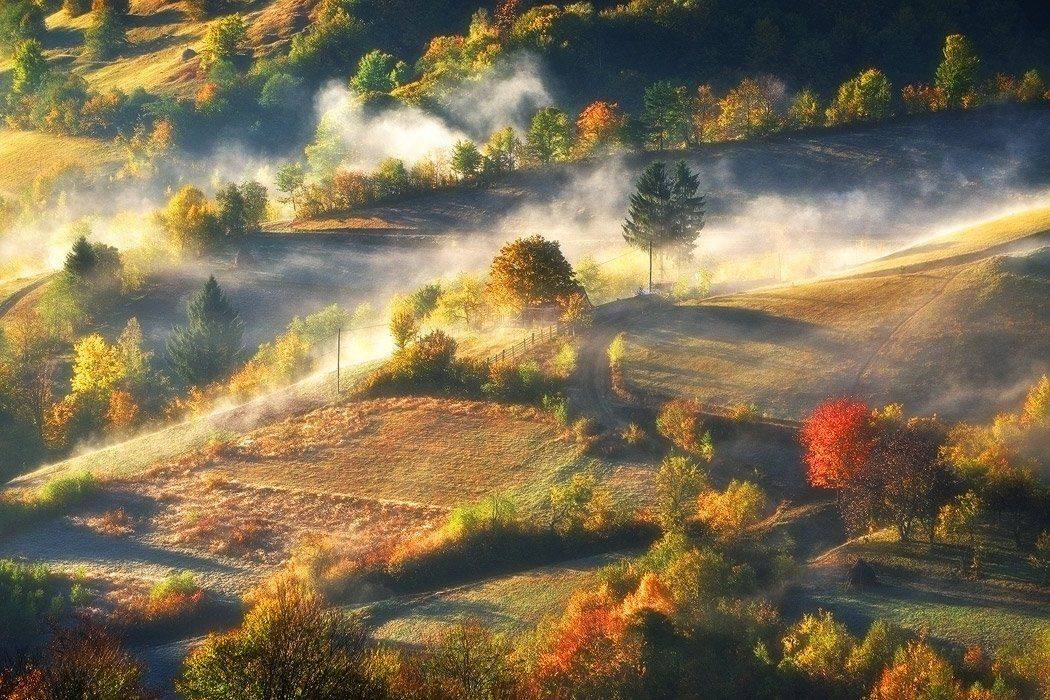 ***. Автор: Stefan Chirobocea , Stefan Chirobocea