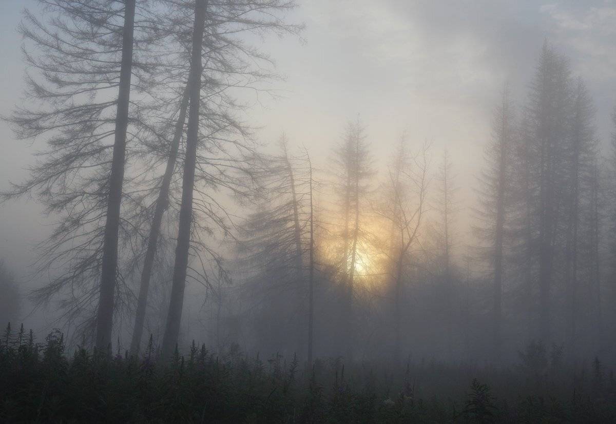 , Сергей Макурин