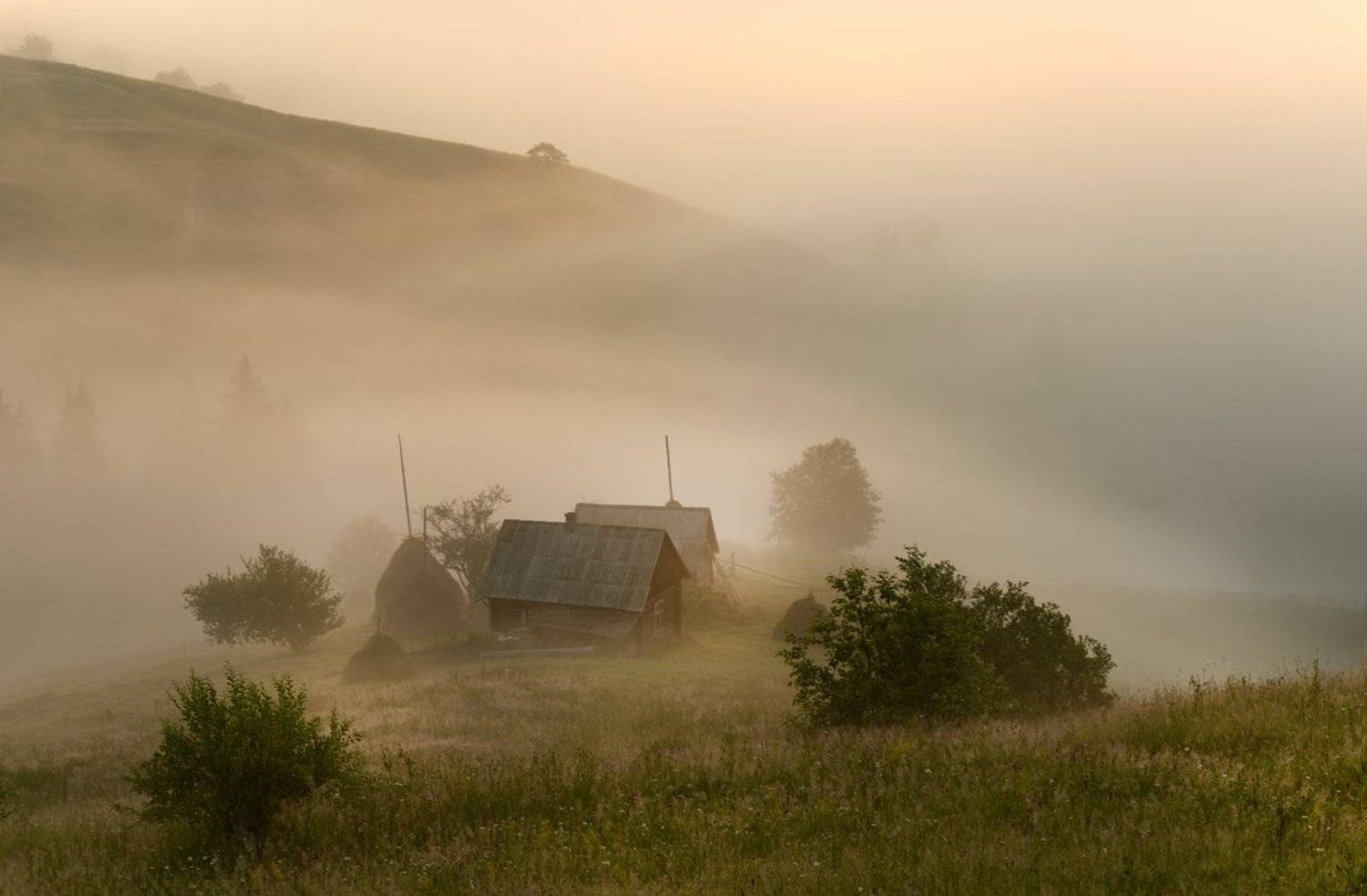 , Эдуард Гордеев