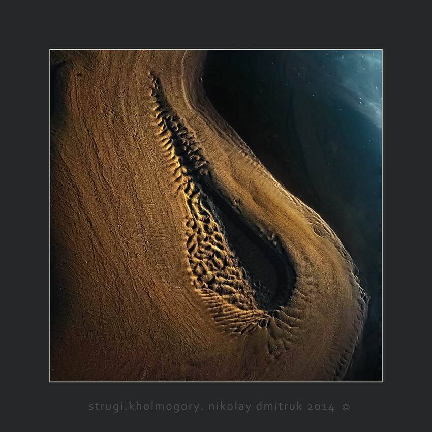 , николай дмитрук