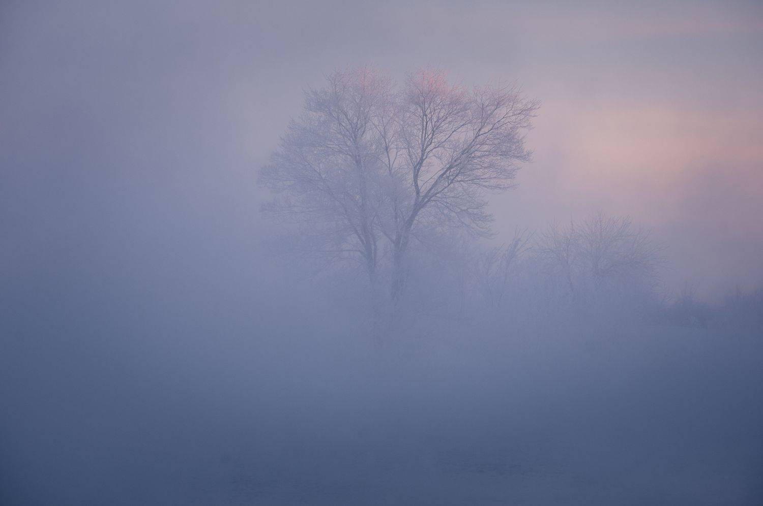 зимний пейзаж, пейзаж, зима, закат, вечер, рассвет, закатное фото, курган, зауралье, природа урала, урал, орловское водохранилище, орлово, Илья Толстоноженко