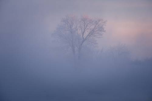 Слегка туманное утро