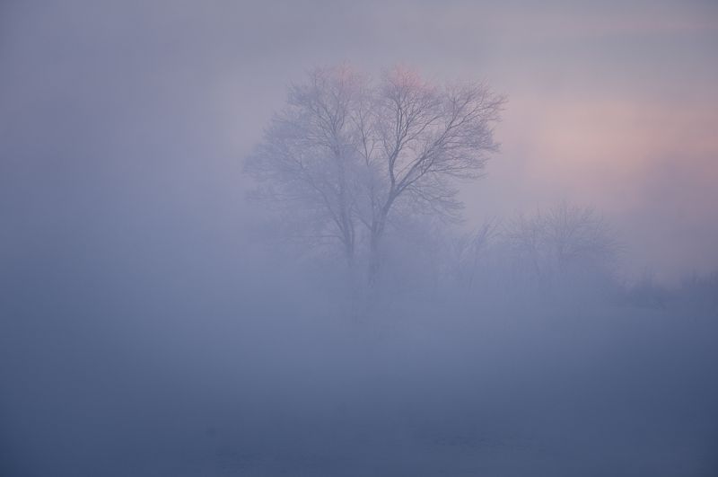 зимний пейзаж, пейзаж, зима, закат, вечер, рассвет, закатное фото, курган, зауралье, природа урала, урал, орловское водохранилище, орлово Слегка туманное утро фото превью