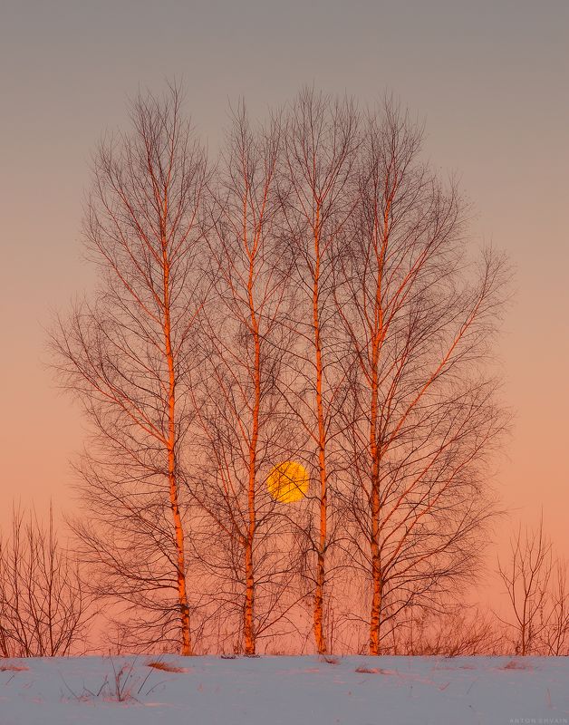 Симметрия фото превью