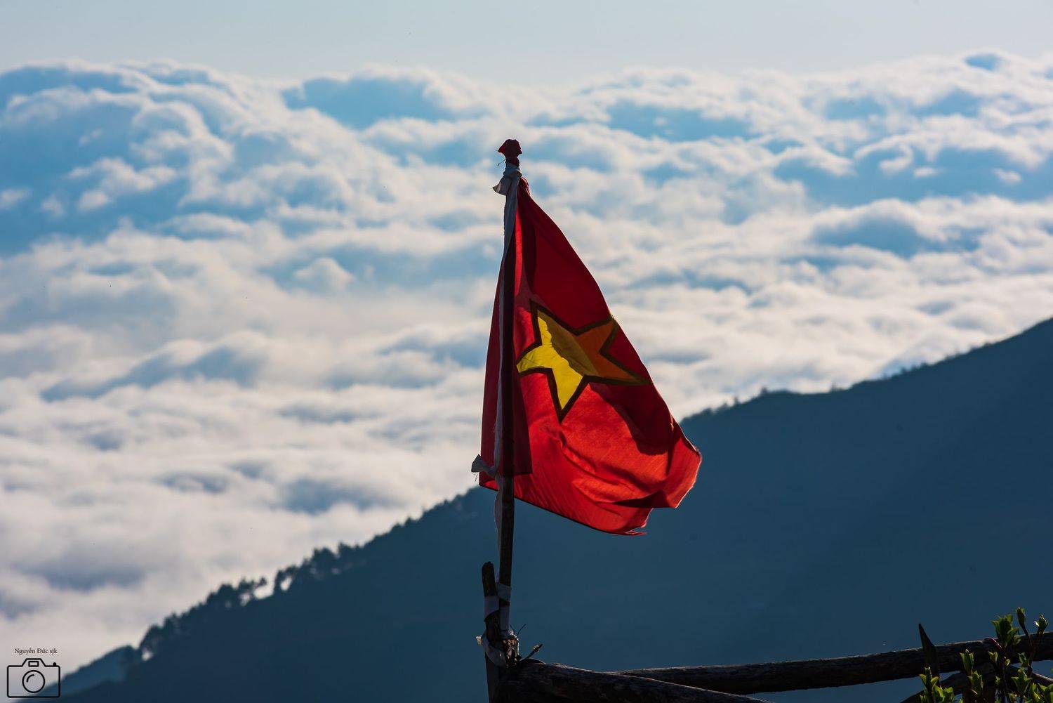 ,  Nguyễn Mạnh Đức