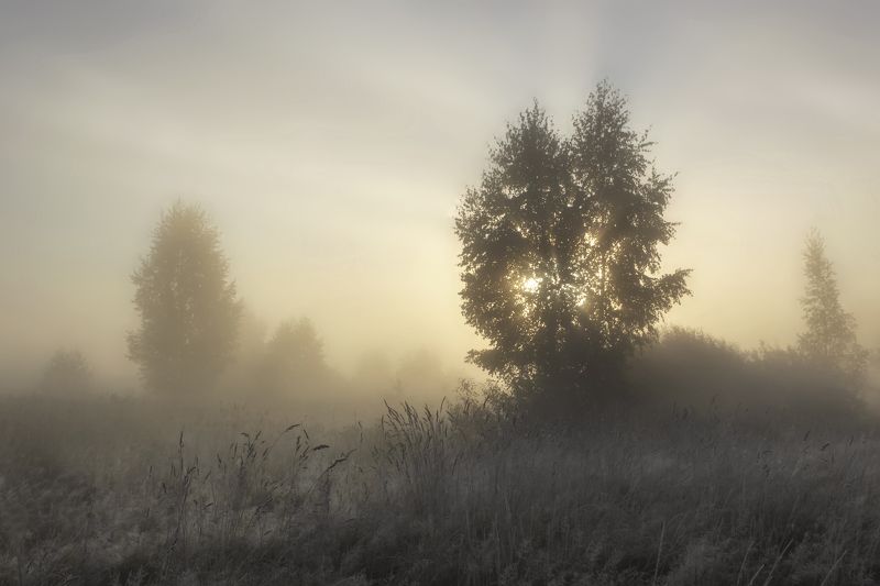 Туман и иней фото превью