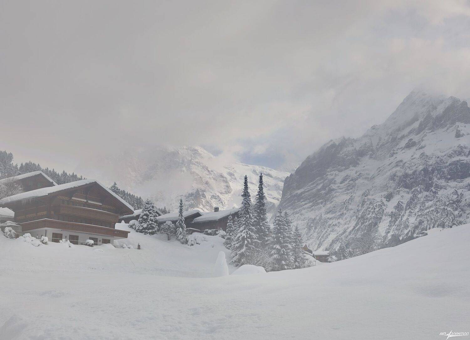 swiss, Матвеев Николай