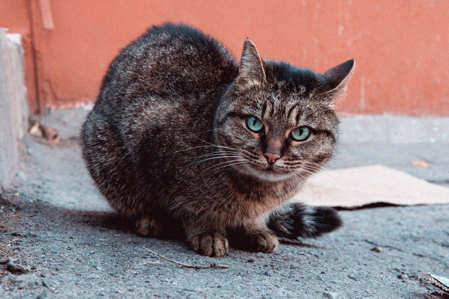 , Юрий Вертиков