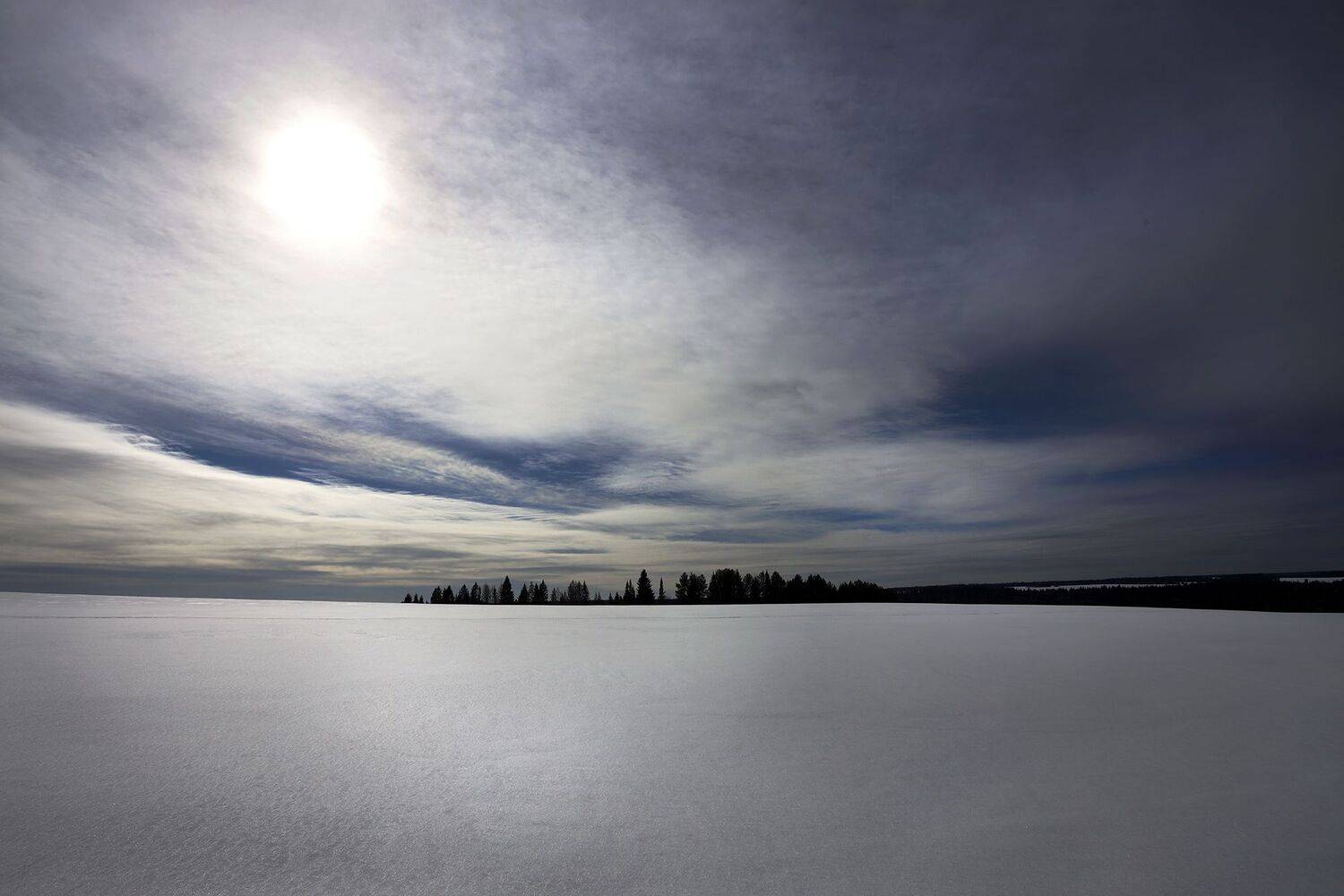 , Павел Мартюшев
