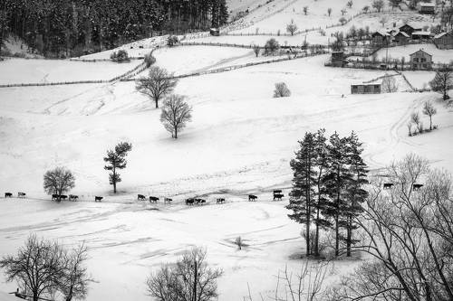 Зимняя история