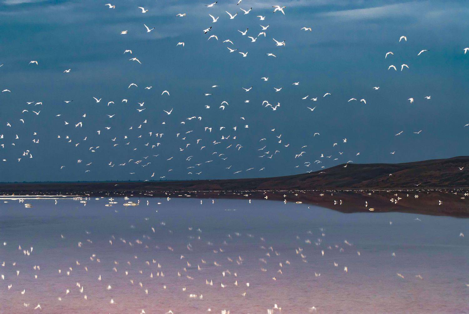 , Игорь Прошаков