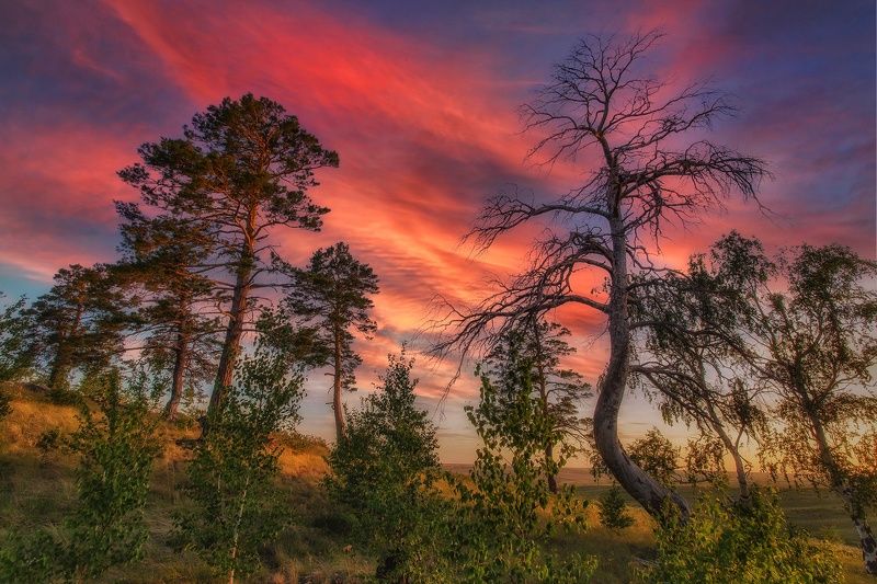 Карагай фото превью