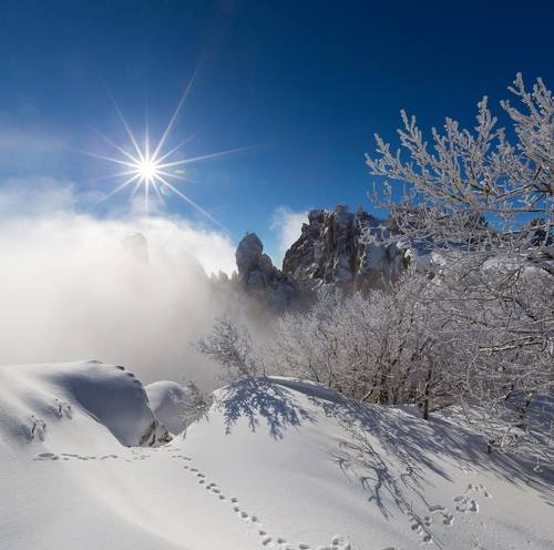 Зима в Ялте