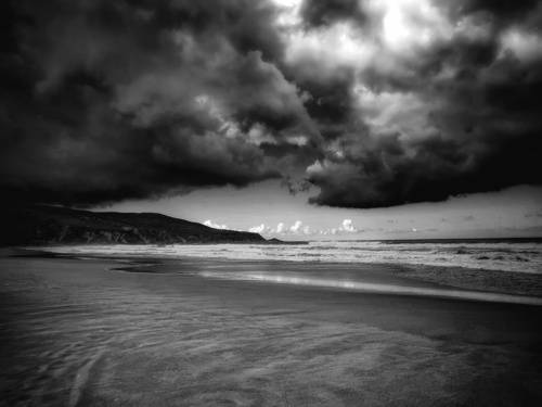 Life in black and white