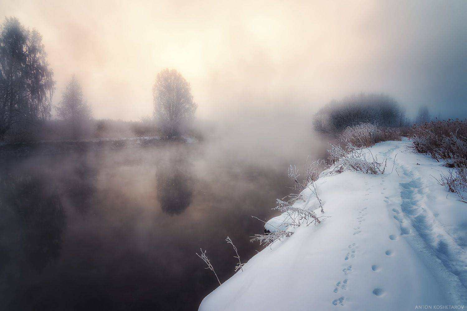 , Антон Кошетаров