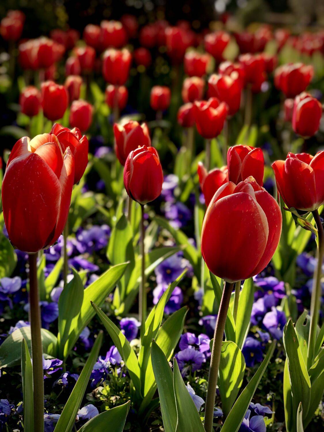 , Евгений Кужилев