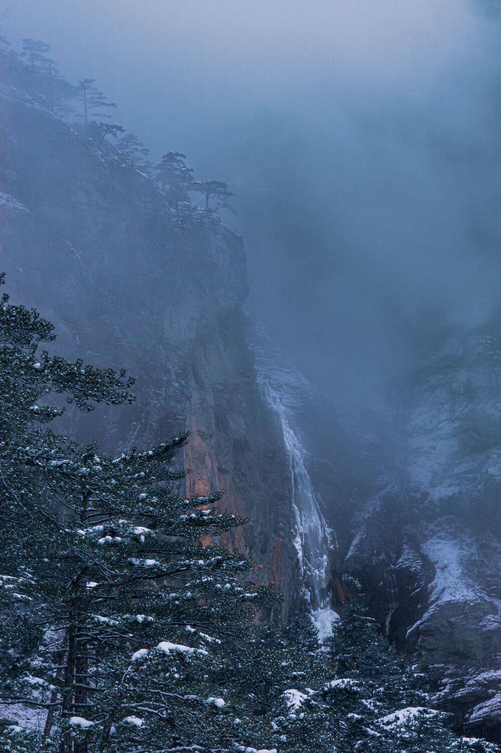 , Андрей Кривцов