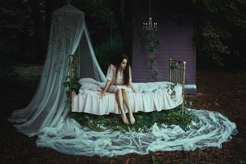 Dream
