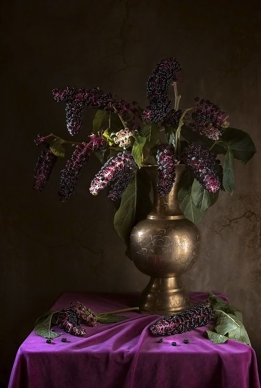 Лаконос фото превью