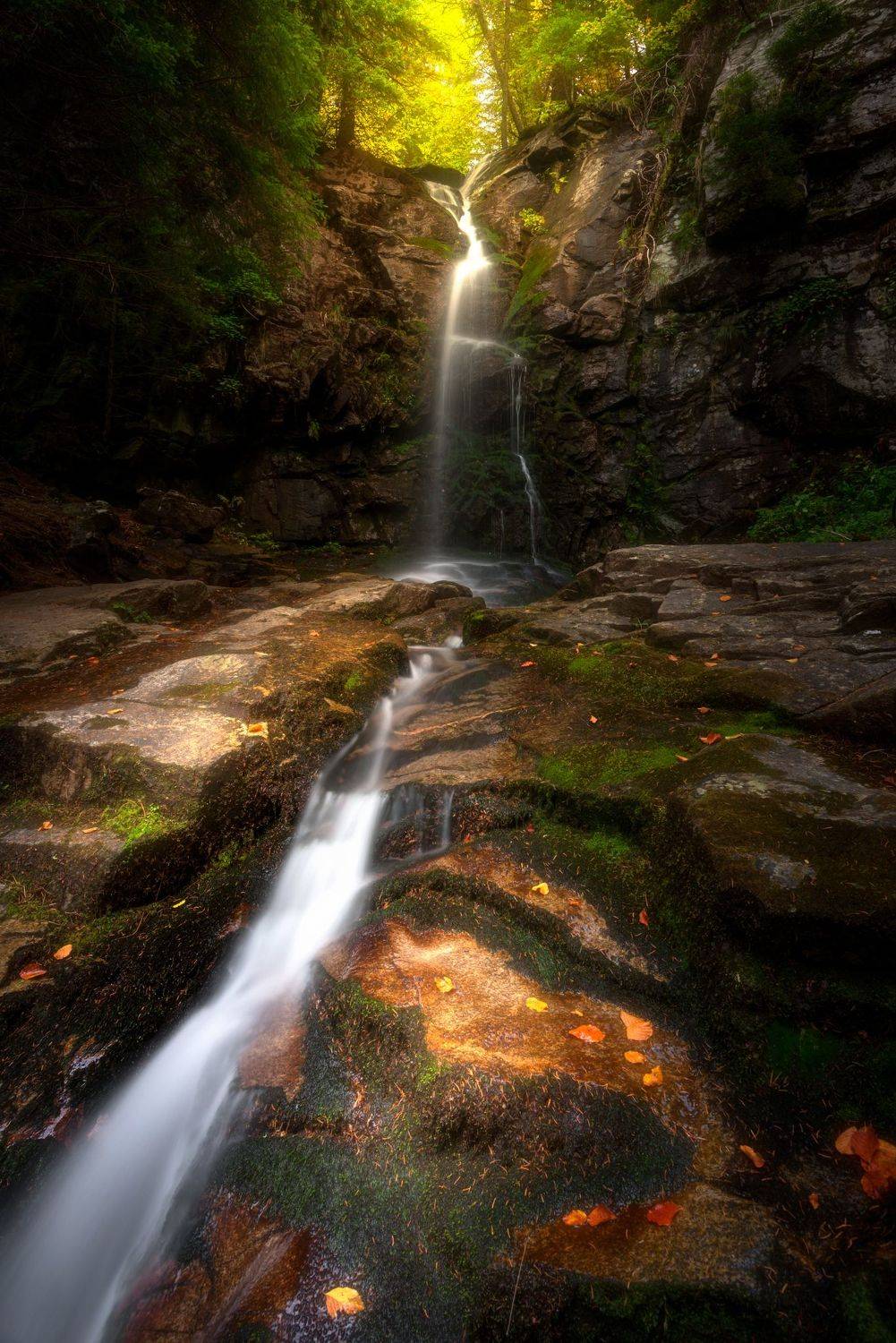 , Mariyana Atanasova - Lucero