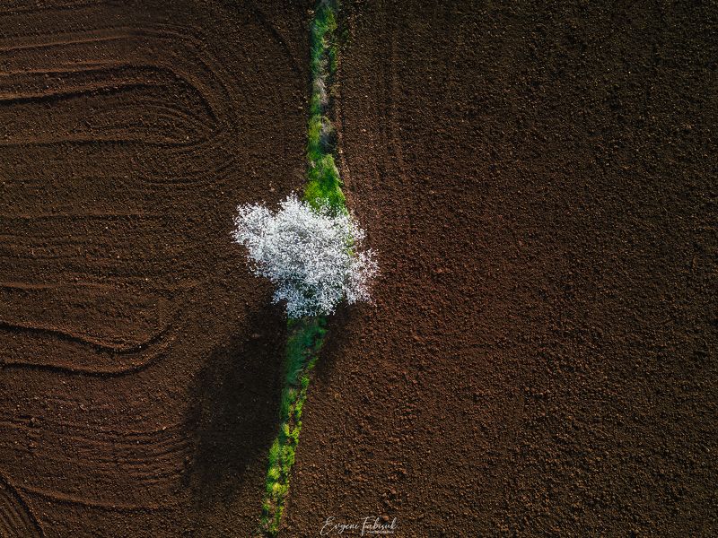 Весна фото превью