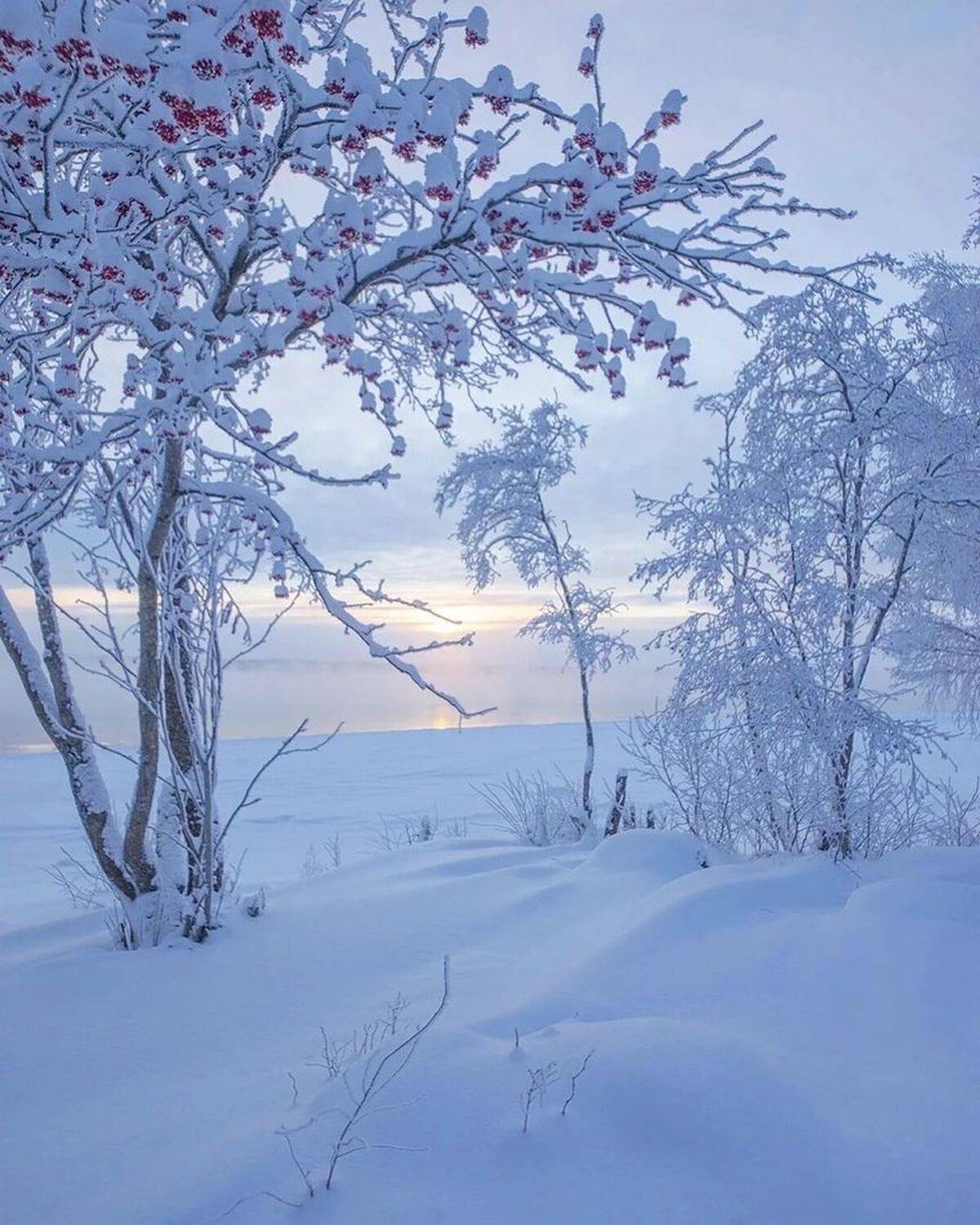 , Петр Косых