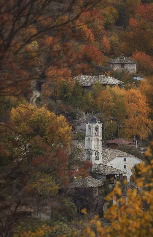 осень фото превью