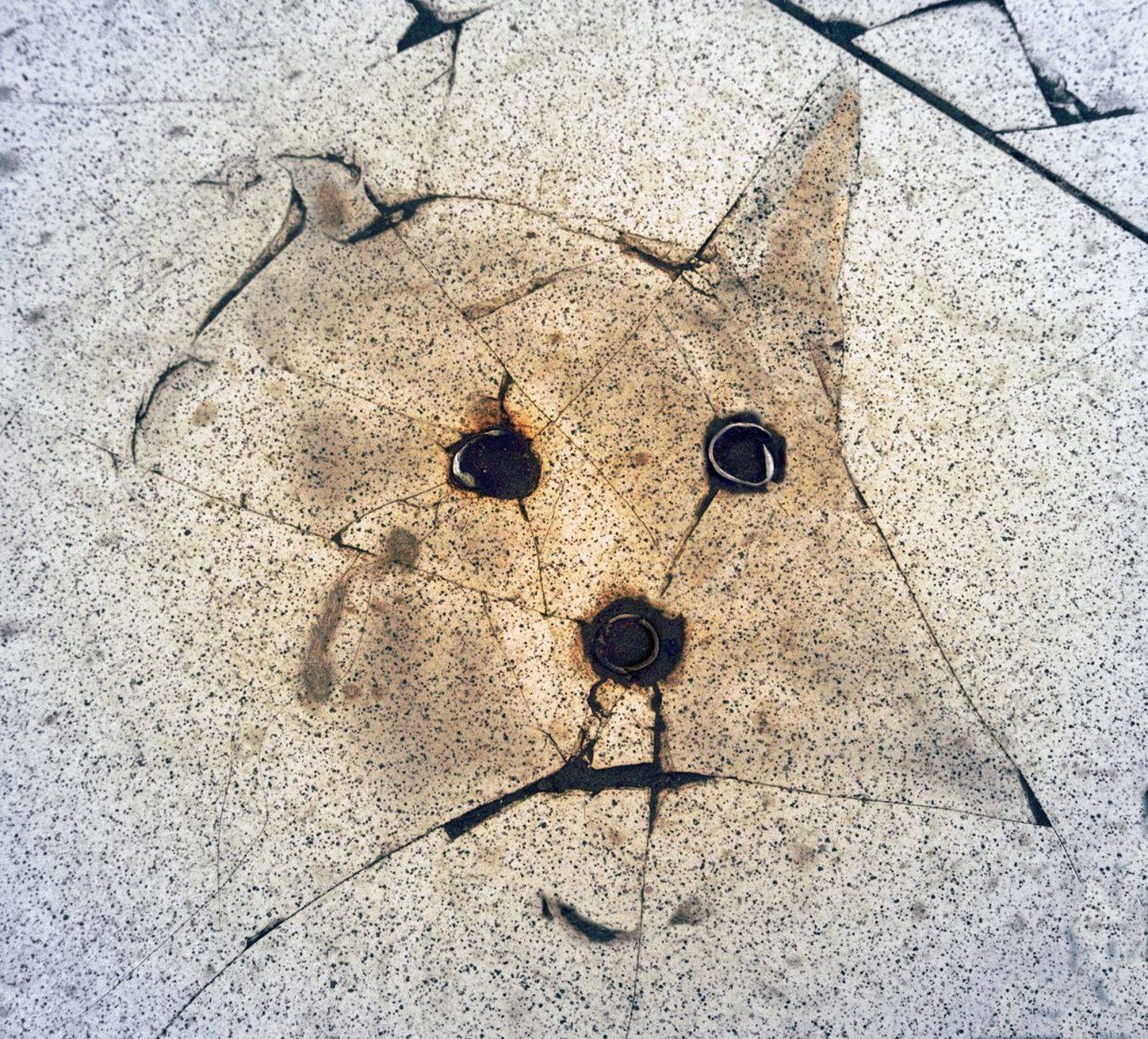 pareidolia, ПОЛУЕВ ИЛЬЯ