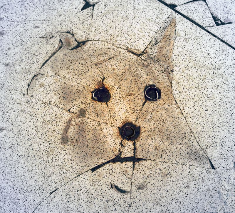 *** фото превью