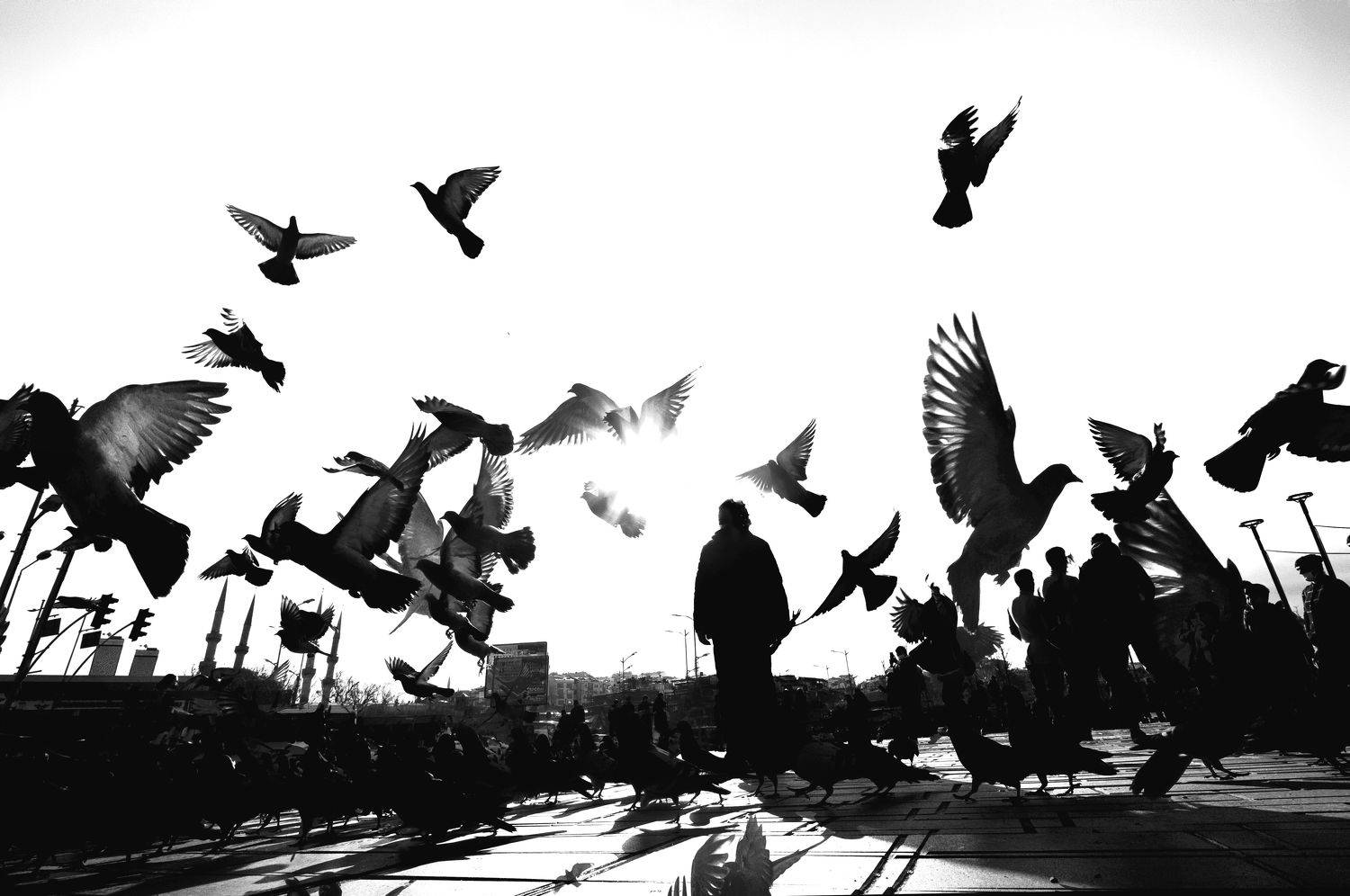 street, bnw, Emir Bozkurt